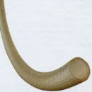 �g���t�b�\�z�[�X