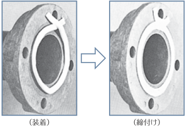 PTFE SAebNX(R) V[ge[v