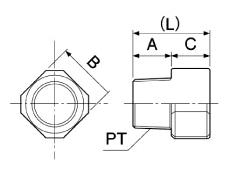 vO}